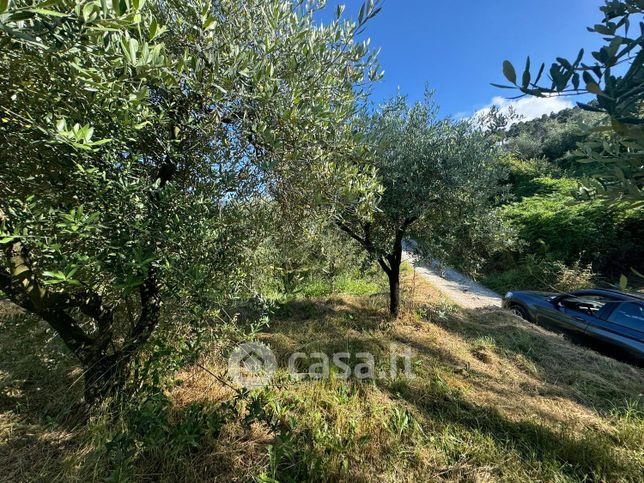 Terreno agricolo in commerciale in Via del Pergolone