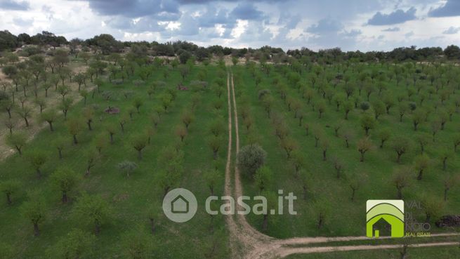 Terreno agricolo in commerciale in Contrada Casale Modica