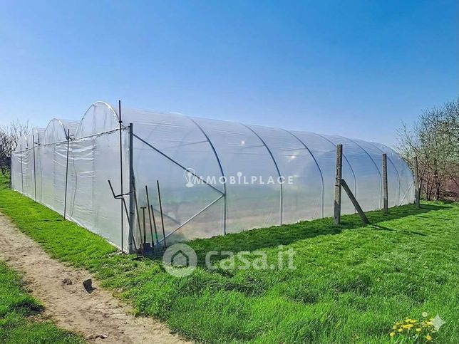 Terreno agricolo in commerciale in 