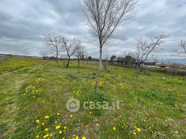 Terreno agricolo in commerciale in Via Colle