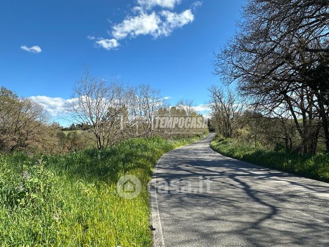 Terreno agricolo in commerciale in Via Doganale