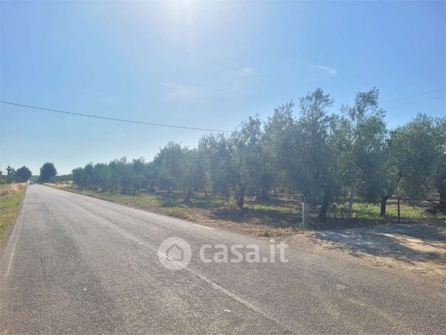 Terreno agricolo in commerciale in Strada Provinciale 62
