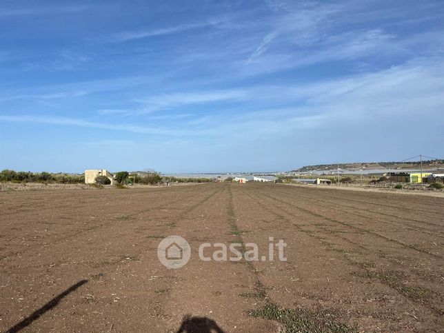 Terreno agricolo in commerciale in Strada Provinciale 6