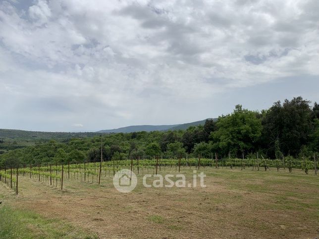 Terreno agricolo in commerciale in Via Antonio Gramsci