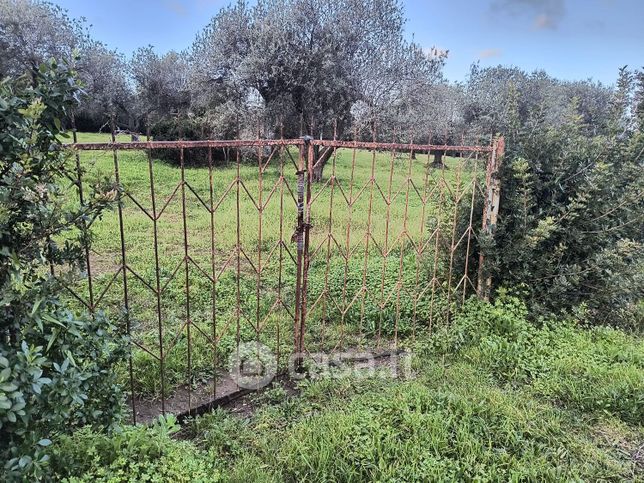 Terreno agricolo in commerciale in Strada Provinciale 105 Alghero-Bosa