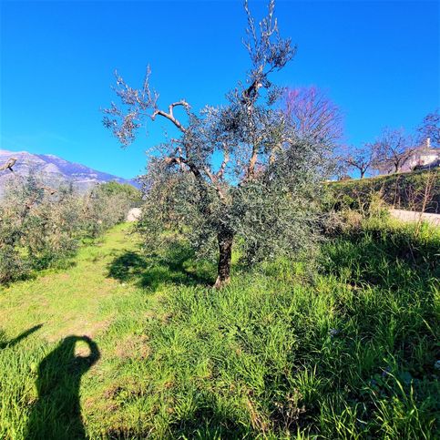 Terreno agricolo in commerciale in Via Luigi Cadorna