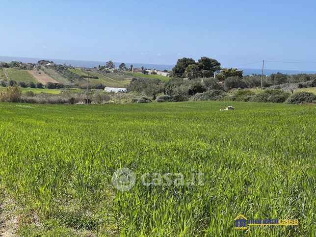 Terreno agricolo in commerciale in Strada Senza Nome