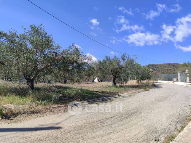 Terreno agricolo in commerciale in 