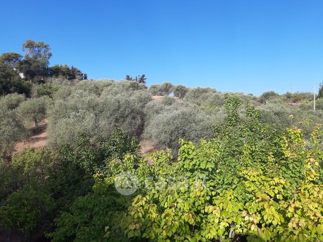 Terreno agricolo in commerciale in Strada Vicinale Brionis