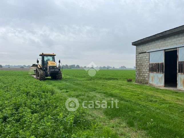 Terreno agricolo in commerciale in Via Pagana 11