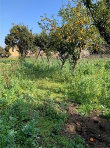 Appartamento in residenziale in Via Conte Mirabelli