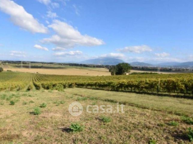 Terreno edificabile in residenziale in Località Polzella