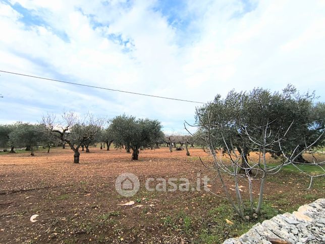 Terreno agricolo in commerciale in Contrada Tortorella