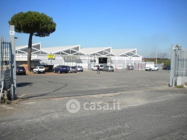 Capannone in commerciale in 