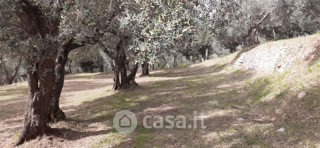 Terreno edificabile in residenziale in Via Roma