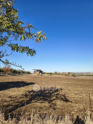 Terreno agricolo in commerciale in Via Villetta Barrea 127