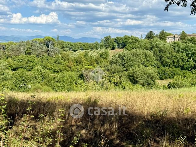 Terreno agricolo in commerciale in Vocabolo San Giovanni