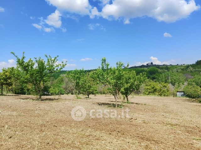 Terreno agricolo in commerciale in SS7 173