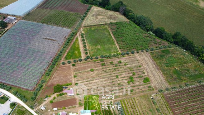 Terreno agricolo in commerciale in Via Dante Alighieri 128