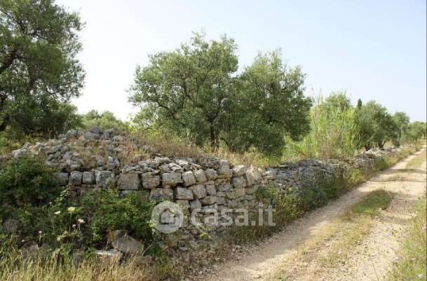 Terreno agricolo in commerciale in Strada Comunale Torre del Duca