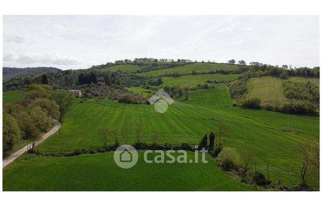 Terreno agricolo in commerciale in Strada Nerbone Lanciafame 9