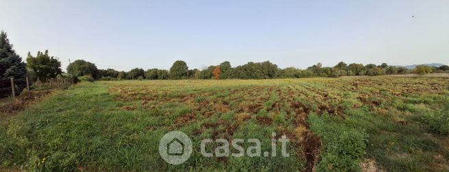 Terreno agricolo in commerciale in Farnete