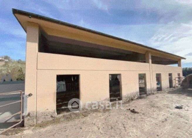 Capannone in commerciale in Strada Provinciale Tarugo