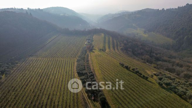 Terreno agricolo in commerciale in montecchio