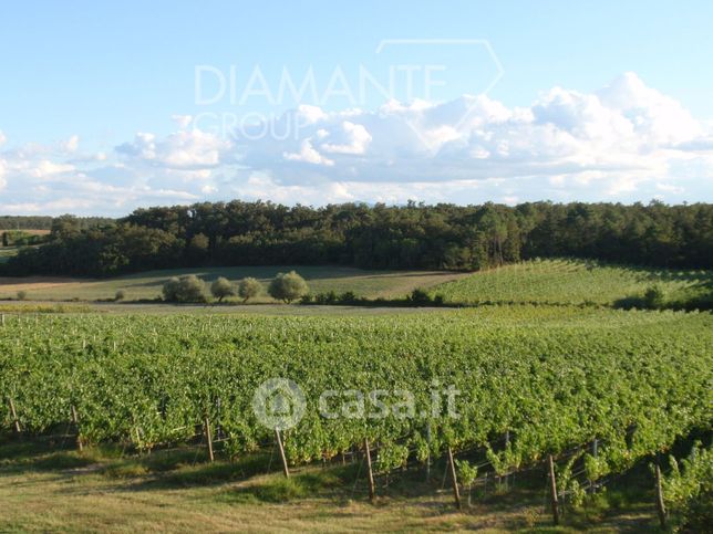 Terreno agricolo in commerciale in Via Cesare Pavese