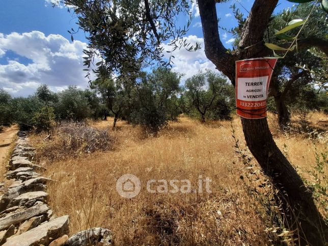 Terreno agricolo in commerciale in Strada Extra Urbana Torre Marina