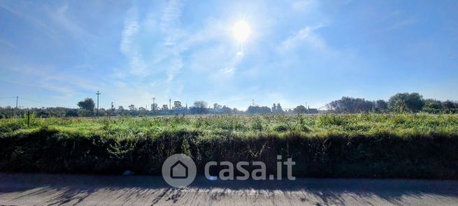 Terreno agricolo in commerciale in Via Vecchia Mesagne 91