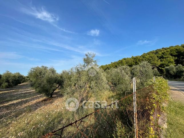 Terreno agricolo in commerciale in 