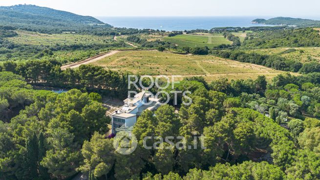 Casa indipendente in residenziale in Località Sant'Albinia 13