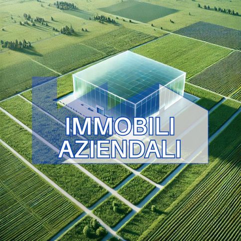 Terreno agricolo in commerciale in Strada Provinciale 343 Asolana