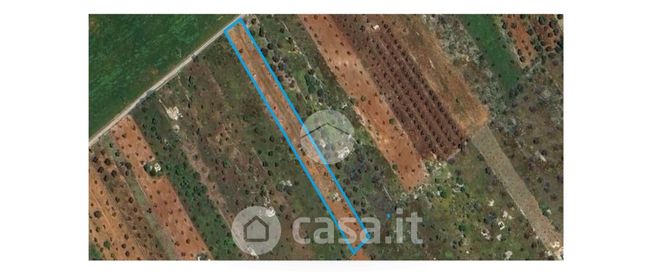 Terreno agricolo in commerciale in 