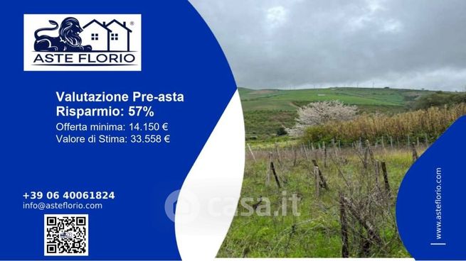 Terreno agricolo in commerciale in Contrada Dragonetti