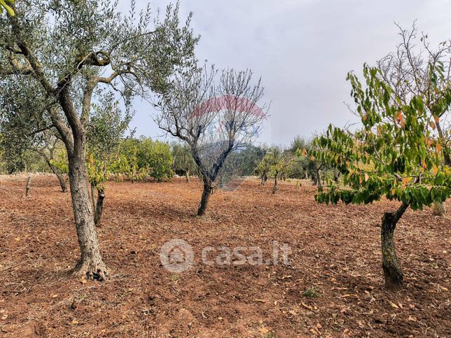 Terreno agricolo in commerciale in 