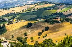 Terreno agricolo in commerciale in centro 2