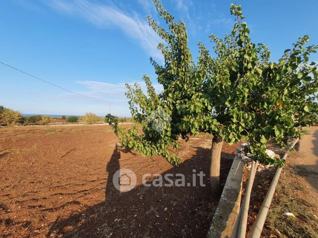 Terreno agricolo in commerciale in 