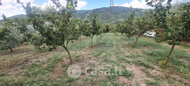 Terreno agricolo in commerciale in 