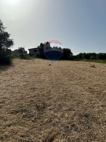 Terreno agricolo in commerciale in Contrada Pianetti