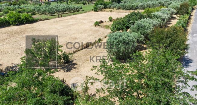 Terreno agricolo in commerciale in Via della Falcognana 61
