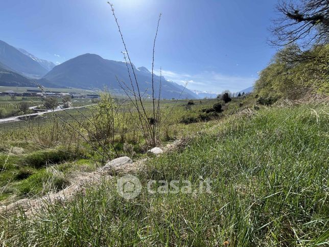 Terreno agricolo in commerciale in Tisserweg 1