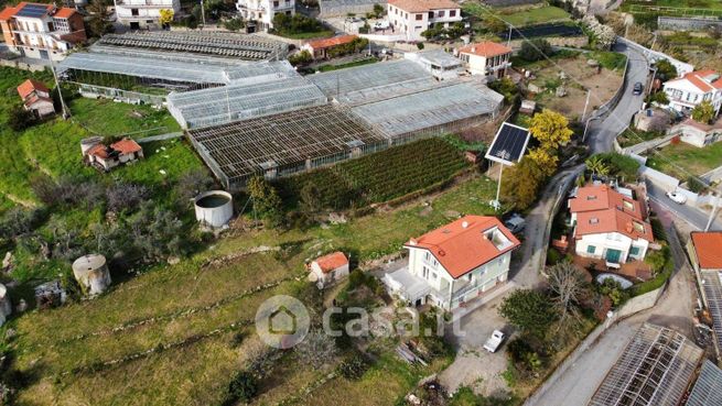 Terreno agricolo in commerciale in Strada San Pietro di Levante 45