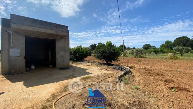Terreno agricolo in commerciale in SP18