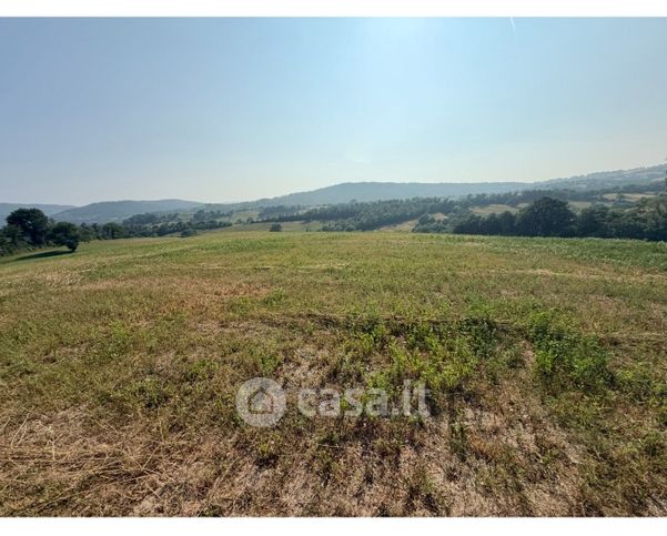 Terreno agricolo in commerciale in Loc .millocchio