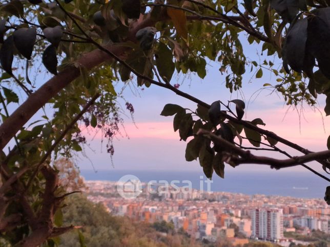 Appartamento in residenziale in Viale dei Pioppi 18
