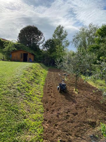 Terreno agricolo in commerciale in 