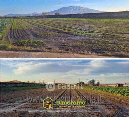 Terreno agricolo in commerciale in Contrada Candelara