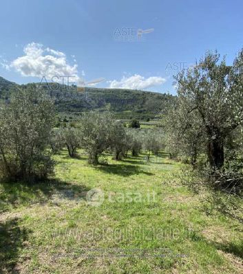Terreno agricolo in commerciale in Località Santa Maria